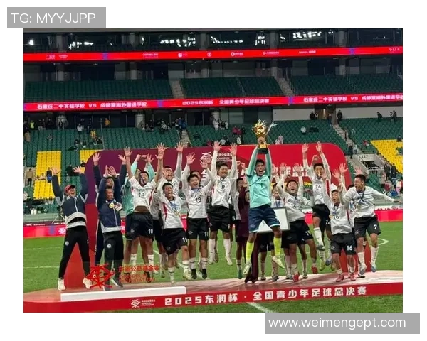 成都足球队的奋斗历程与荣耀时刻全景纪实